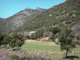 plaine de la montagne noire