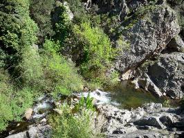 ruisseau dans la montagne noire